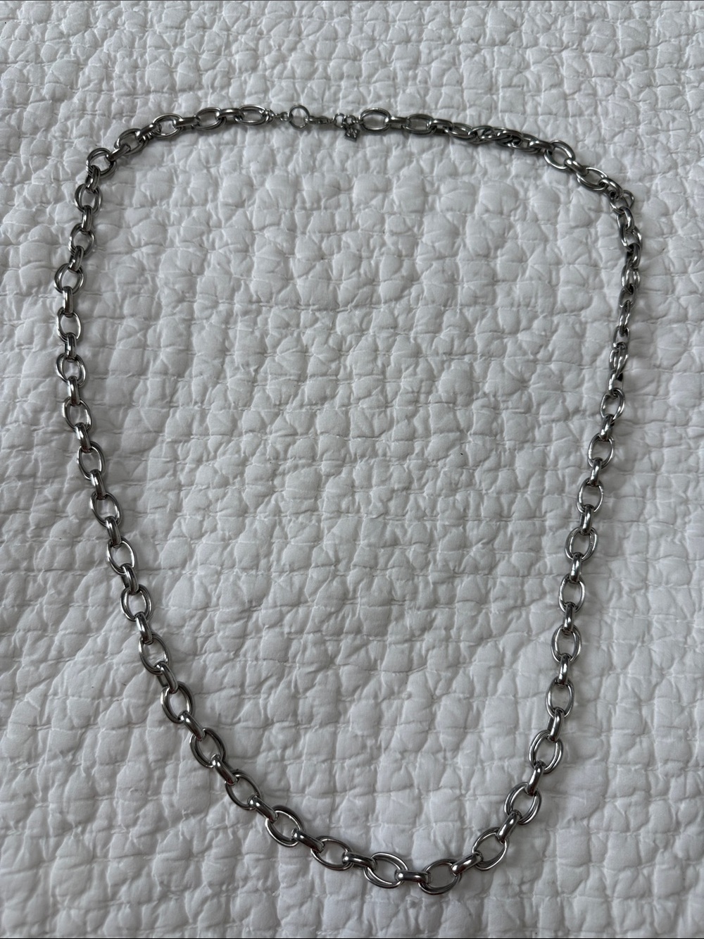 Banana Republic Polished Silver Chain Link Necklace